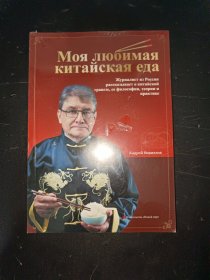 Моя любимая китайская еда 直译：我最喜欢的中国食物