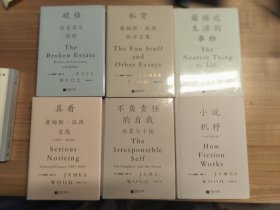 小说机杼等詹姆斯伍德（十周年增订版）全6册
