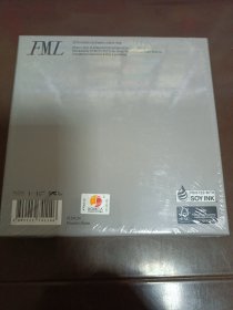 FML fallen, mistfit, lost seventeen 10TH MINI ALBUM 写真集光盘【未开封】