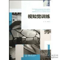 视知觉训练/高等院校艺术设计创新实训教材