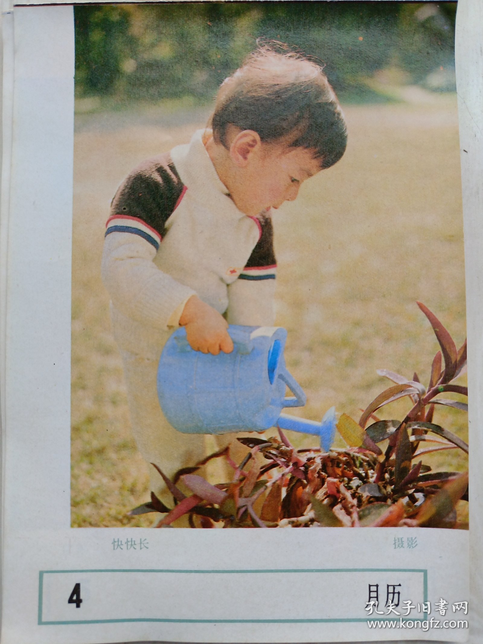 1986年历画缩样:快快长 4月历