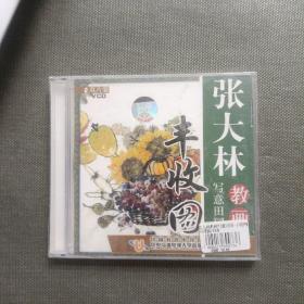 张大林教画写意田园 丰收图（上 下 2VCD）