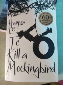 To Kill a Mockingbird 杀死一只知更鸟