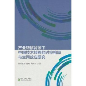 产业转移背景下中国技术转移的时空格局与空间效应研究