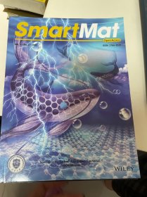 smartmat 2021 2022（2本合）