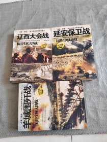 国共生死大决战：延安保卫战，辽西大会战，羊城围歼战3本合售