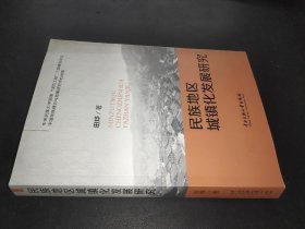 民族地区城镇化发展研究