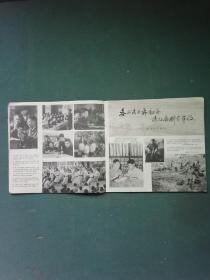 12开，1978年，封面有华像，内有华像（第2期）《福建工农兵画刊》