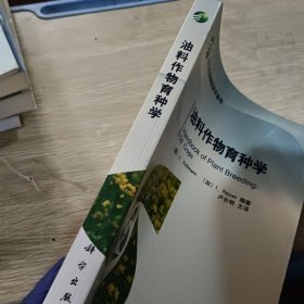 现代农业高新技术丛书：油料作物育种学