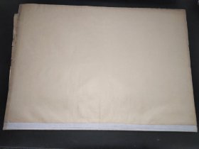 宁夏日报  1965年6月