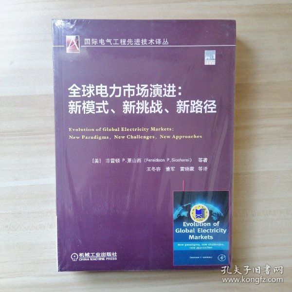 全球电力市场演进：新模式、新挑战、新路径