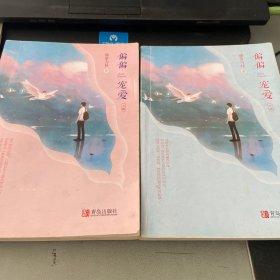 偏偏宠爱（上下）晋江文学城金榜作品