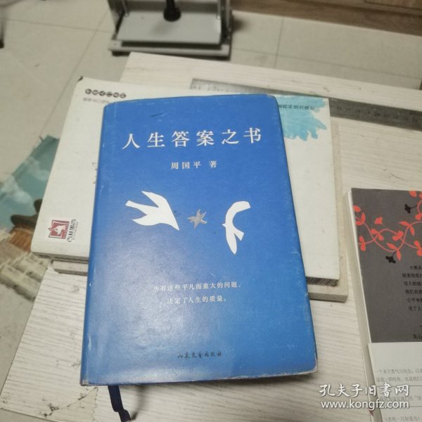 人生答案之书（限量签章定制版。一本书读懂周国平半辈子的人生智慧，让人生少些焦虑迷茫。所有这些平凡而重大的问题，决定了人生的质量）