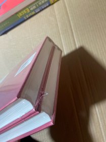 三个火枪手 上下册