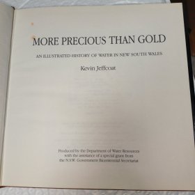 More precious tban gold 新南威尔士州水资源历史图解