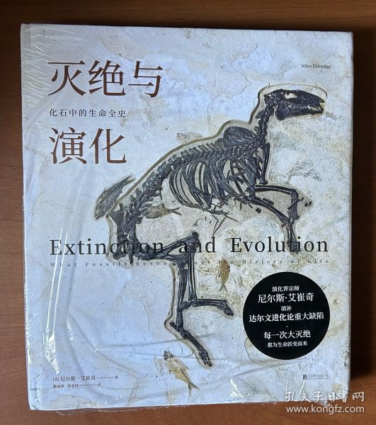 灭绝与演化：化石中的生命全史