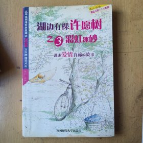 湖边有棵许愿树之3.彩虹冰砂：讲述爱情真谛的故事