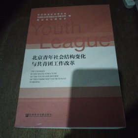 北京青年社会结构变化与共青团工作改革