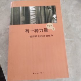 有一种力量：转型社会的法治细节