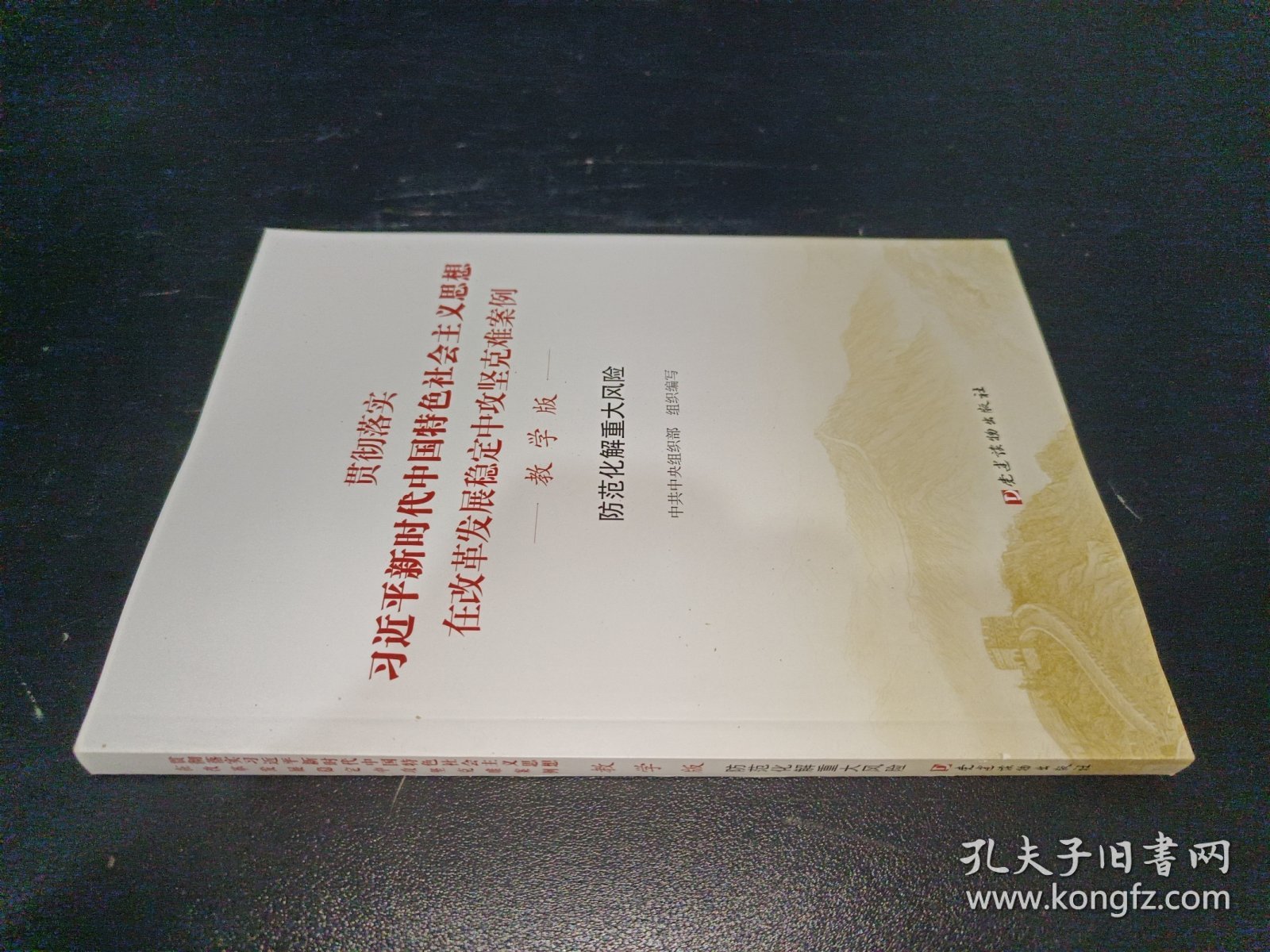 贯彻落实新中国特色社会主义思想在改革发展稳定中攻坚克难案例·教学版·防范化解重大风险