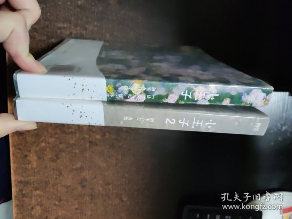 小王子(官方授权艺术家80周年版) 全2册