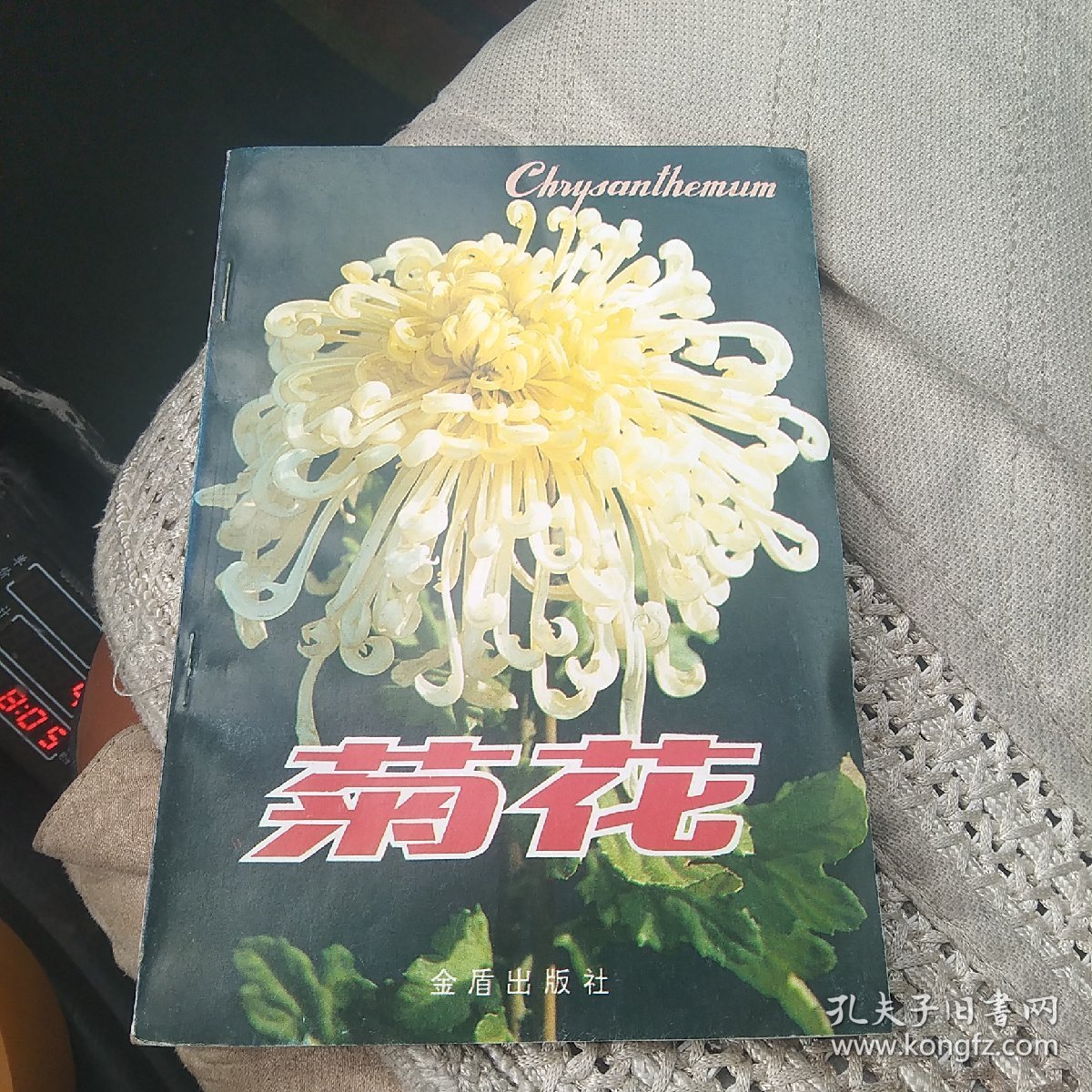 菊花[代售]北架四格