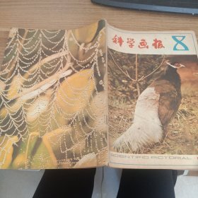 科学画报1981年8期