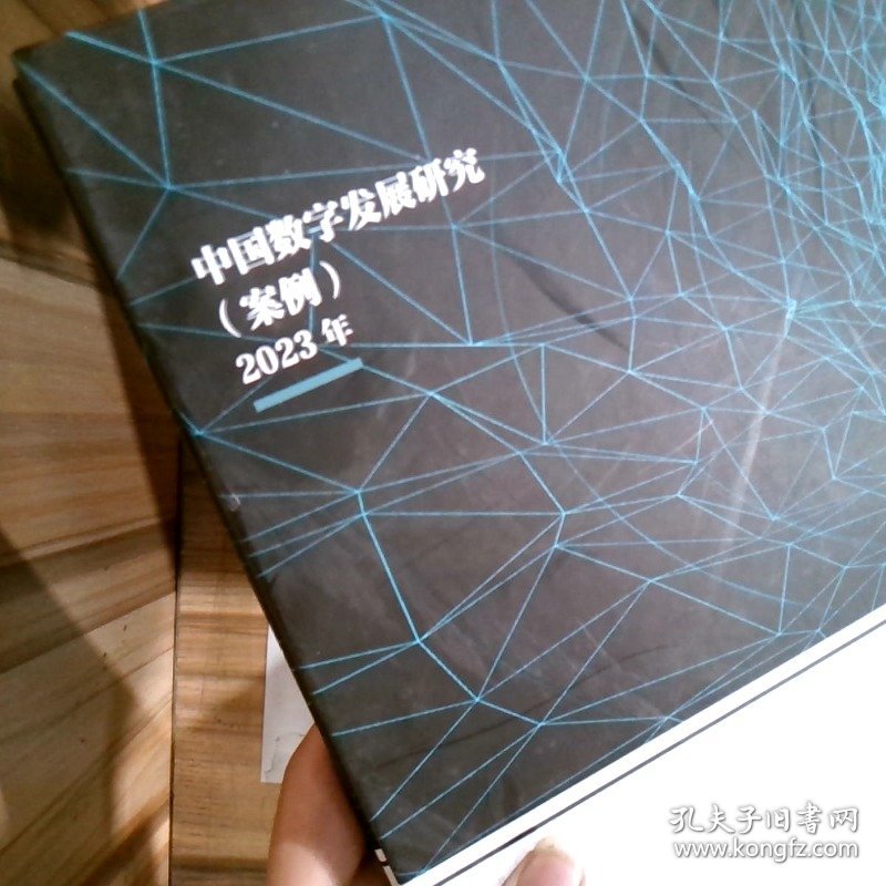 中国数字发展研究（案例）2023年