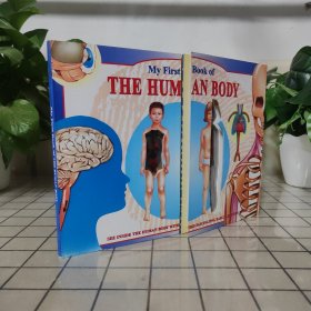 （英文原版）My First Book of the Human Body