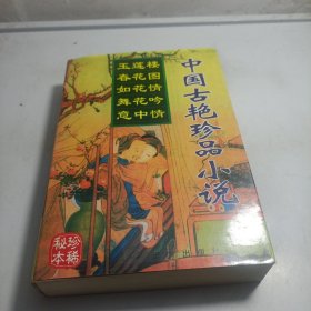 中国古珍品小说