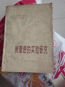 食道癌的实验研究
