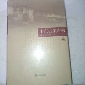 山东古镇古村/山东地名文化丛书