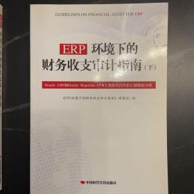 ERP环境下的财务收支审计指南（下册）：Oracle EBS和Oracle Hyperion EPM主要模块内控审计和数据分析