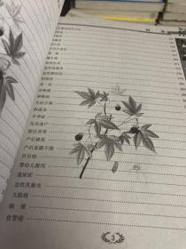 传统文化经典 千金方+华佗神方治百病+黄帝内经+民间奇效良方+偏方秘方验方大全（最新经典珍藏）(5本合售)