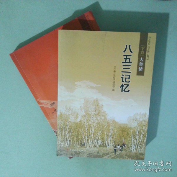 八五三记忆上下卷