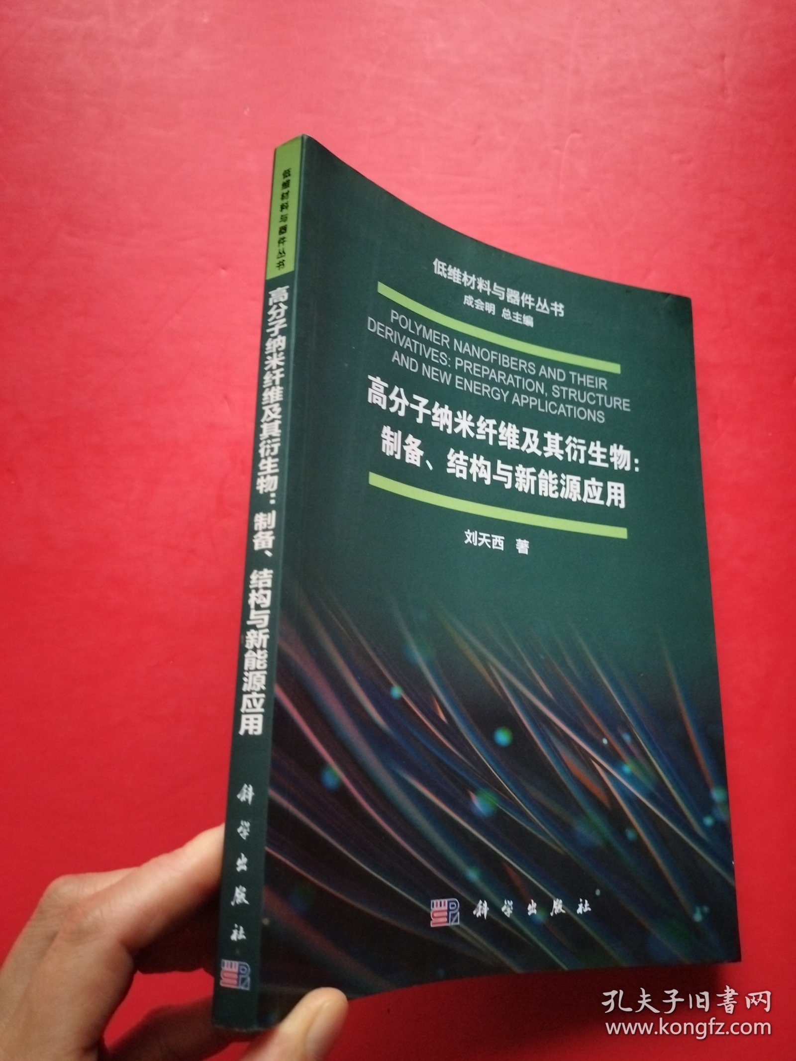 高分子纳米纤维及其衍生物：制备、结构与新能源应用【书内干净】