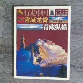 雪域龙脊：青藏纵横