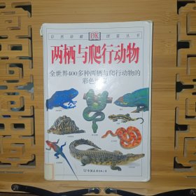 两栖与爬行动物：全世界400多种两栖与爬行动物的彩色图鉴