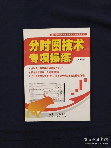 股市赢利技术专项操练丛书系列：分时图技术专项操练