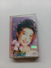 【磁带】杨林 也许 我不同