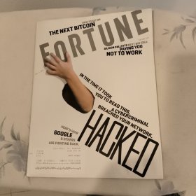 FORTUNE 财富杂志2017