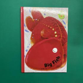 英文绘本：big fish大鱼