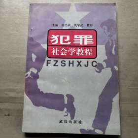 犯罪社会学教程