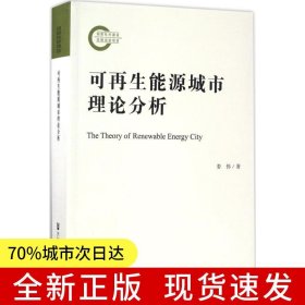 可再生能源城市理論分析