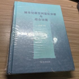 城市犯罪空间盲区分析与综合治理