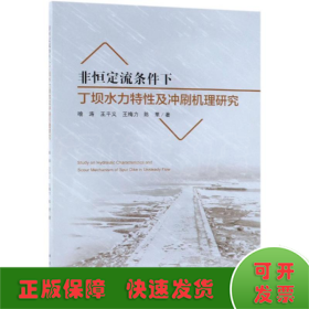 非恒定流条件下丁坝水力特性及冲刷机理研究