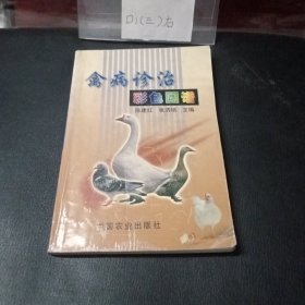 禽病诊治彩色图谱