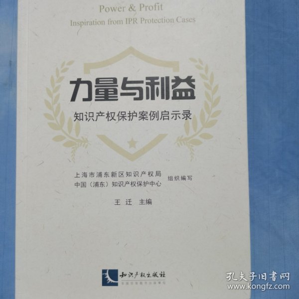 力量与利益：知识产权保护案例启示录（内页干净品好）