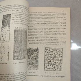 第四纪地质学讲义（下册）