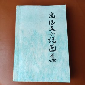 沈从文小说选集
